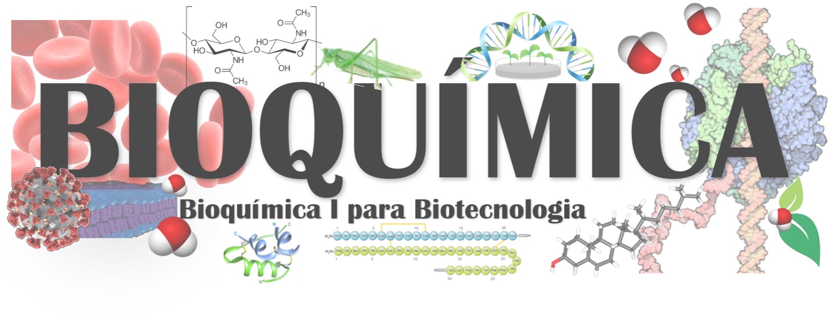 Bioquímica I para Biotecnologia